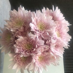 Meet your Posher, Kem